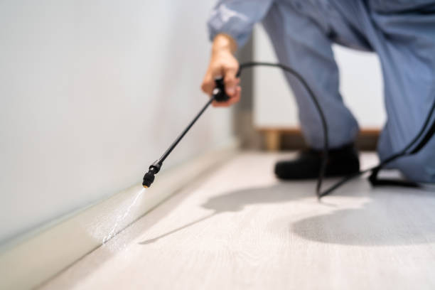 Licensed Pest Control service in Half Moon Bay, CA - Nex Pest Control