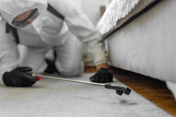Professional Pest Control technician working in Half Moon Bay, CA