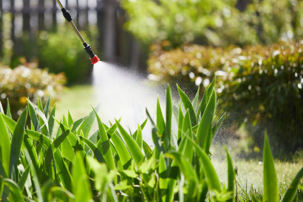 24/7 Emergency Rodent Control experts in Half Moon Bay, CA