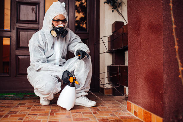 Reliable Rodent Control contractor in Half Moon Bay, CA by Nex Pest Control