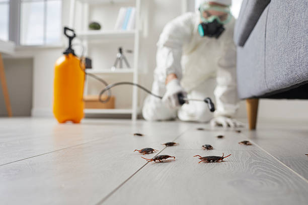 Trusted Termite Control service in Half Moon Bay, CA - Nex Pest Control