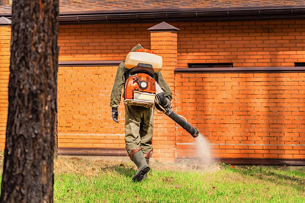 Trusted Bed Bug Control service in Half Moon Bay, CA - Nex Pest Control